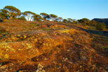 Photograph of La Plaine des Maures at the end of the day