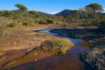 Ruisseau dans la Plaine des Maures