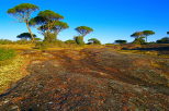 photo de la plaine des maures