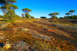 photographie de la plaine des maures