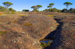 photo de la plaine des maures