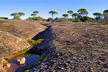 Image of a Provence landscape in La Plaine des Maures