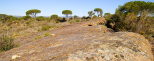 paysage de la plaine des maures