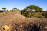 photo de la plaine des maures