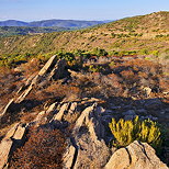 Photo de paysage sur les crtes du Massif des Maures