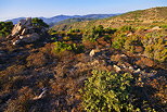 Image of a summer Provence landscape in the hills of Massif des Maures