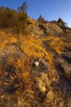 photo du massif des maures