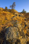 paysage du massif des maures