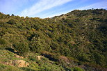 photographie des cretes du massif des maures