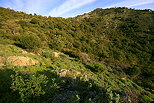 image des cretes du massif des maures