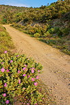 Photo d'une piste forestire sur les crtes du Massif des Maures