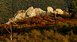 Image des crtessauvages du Massif des Maures un soir d't