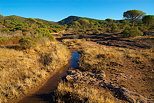 Plaine des Maures landscape after the rain