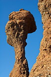 Photographie de demoiselles coiffes aux alentours du rocher de Roquebrune sur Argens