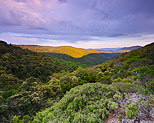 Image of the sunrise of Provence forest in Massif des Maures area