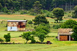 Photographie d'un paysage rural dans les Alpes de Haute Provence