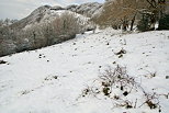 Photo de la neige sur la crte de la montagne du Vuache en Haute Savoie