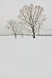 Photographie d'un paysage rural sous la neige et le brouillard en Haute Savoie