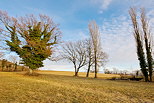 Image d'un paysage rural sur le plateau des Daines en Haute Savoie