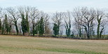 Photographie d'une haie de bocage sur le plateau des Daines  Chaumont en Haute Savoie