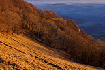 Warm light of a winter evening on Vuache mountain