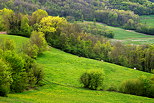 Image d'un paysage rural dans la valle du Rhne autour d'Arcine en Haute Savoie