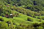 Photographie d'un paysage rural au printemps dans la valle de la Valserine