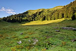 Photographie des alpages sur la montagne du Grand Crt d'Eau autour du Chalet du Sac