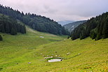 Photo des alpages de la montagne du Grand Crt d'Eau