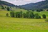 Photographie d'un paysage rural du Haut Jura entre Mijoux et le Tabagnoz