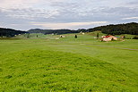 Photo du plateau de Bellecombe dans le Parc Naturel Régional du Haut Jura