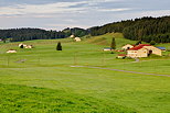 Image des fermes du plateau de Bellecombe dans le Haut Jura