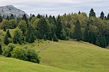 Photo de prairies et de forêt de montagne sur les plateau du Haut Jura