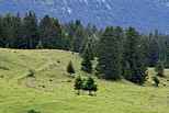 Image de prairies et de fort de montagne sur le plateau de Bellecombe dans le Haut Jura