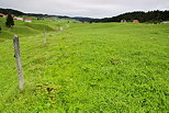 Image des prairies du plateau de Bellecombe dans le Haut Jura