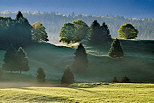 Image of a misty sunrise on Bellecombe plateau in french Jura