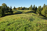 Image of the green meadows of Bellecombe plateau in french Jura