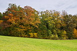 Photo d'une haie d'automne dans un paysage rural en Haute Savoie