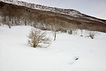 Photo d'un paysage enneigé dans le Massif des Bauges