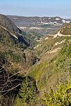 Image du Jura en fin d'hiver vu depuis la route de Septmoncel