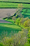 Photograph of the french countryside with green springtime colors
