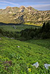 Image du Plateau de Solaison sous les sommets du Massif des Bornes