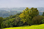 Picture of autumn in the french rural landscape