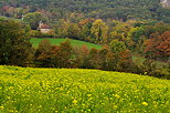 Image d'un champ de colza et des couleurs d'automne à Chaumont en Haute Savoie