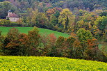 Photo d'un champ de colza dans un paysage rural en automne