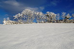Image de la campagne de Haute Savoie sous la neige