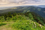 French jura landscape seen from Cret de Chalam mountain