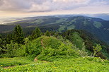 Photo du Jura  vu depuis le sommet du Crt de Chalam