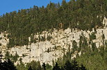 Photo de la forêt de montagne sur les falaises de la vallée de la Valserine
