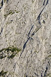 Photo d'un dtail des falaises du Bargy
